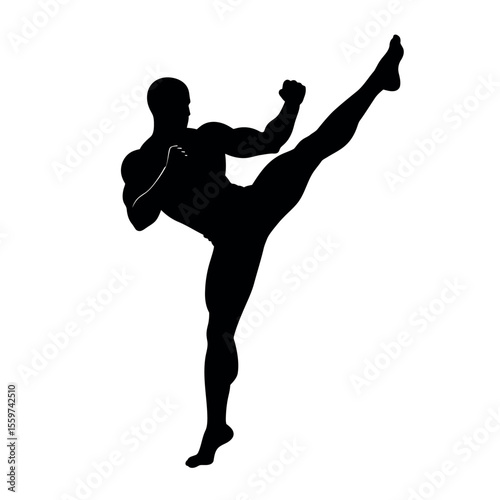 vector silhouette of martial arts fighter