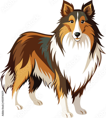 border collie dog vector illustration of a dog