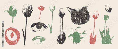 Photocopy tulip and narcissus flowers collage set. Cutout human eyes, cat and floral elements design. Pieces of retro wildflowers and cats head. Vector retro illustration on beige background.