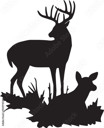 Deer Buck and Doe in Grass Silhouette
