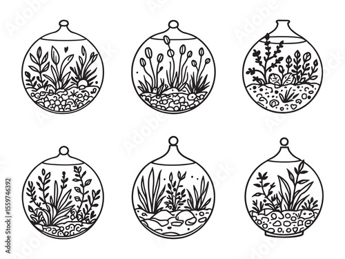 Simple terrarium outline with various small indoor plants