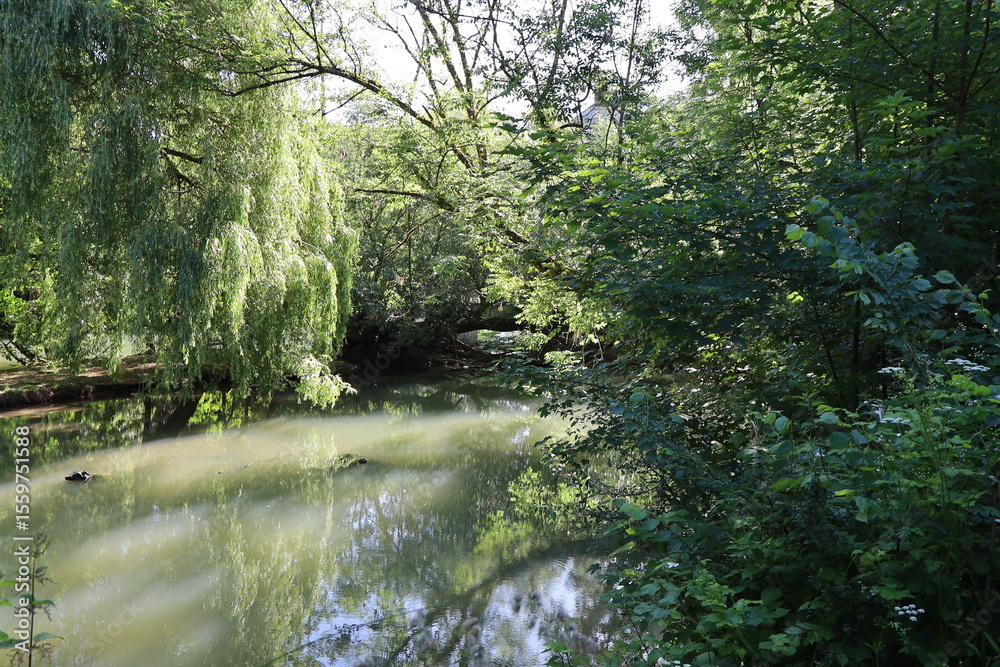 Obraz premium La rivière le Grand Morin, ville de Crécy la Chapelle, département de la Seine et Marne, France