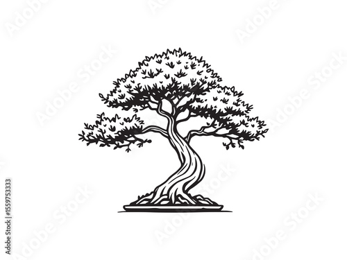traditional bonsai tree fine line art vector drawing