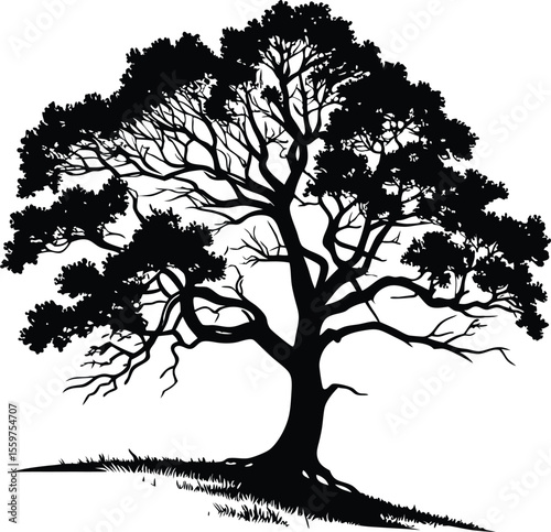 Large Oak Tree Silhouette with Spreading Branches and Leaves