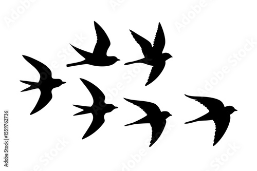 Flock of Flying Birds Silhouette – Minimalist Black and White Vector Graphic