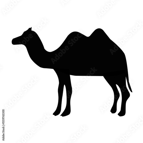 camel silhouette vector