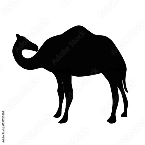 camel silhouette vector