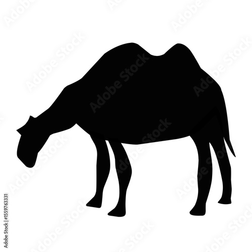 camel silhouette vector