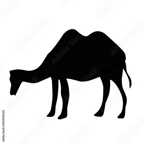 camel silhouette vector