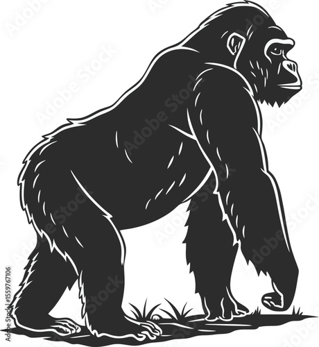 A vector illustration of an gorilla black silhouette