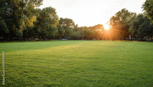 Fototapeta Naklejka Na Ścianę i Meble -  Lush green parkland at sunset