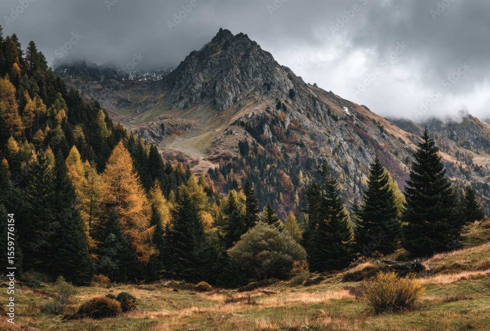 Fototapeta premium mountain landscape in the morning