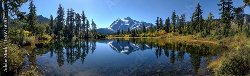 reflection of trees in water