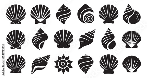 Black and White Seashell Collection Artistic Silhouettes of Various Shells Depicting Ocean Treasures and Marine Life in Graphic Form