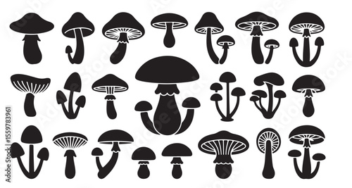 Assorted Mushroom Silhouettes in Varied Shapes and Sizes A Fungal Collection of Edible and Poisonous Varieties for Identification and Illustration Purposes
