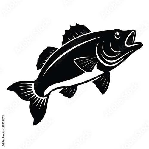 flaring fish bass silhouette vector on white