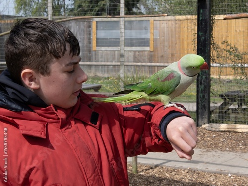 Teenage boy visiting a wildlife park with a parrot sitting on his arm. Tame bird, sanctuary for birds