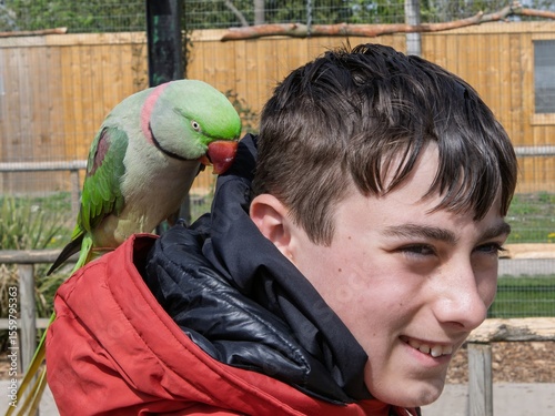 Teenage boy visiting a wildlife park with a parrot sitting on his arm. Tame bird, sanctuary for birds