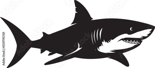 Powerful Black and White Shark Silhouette vector 