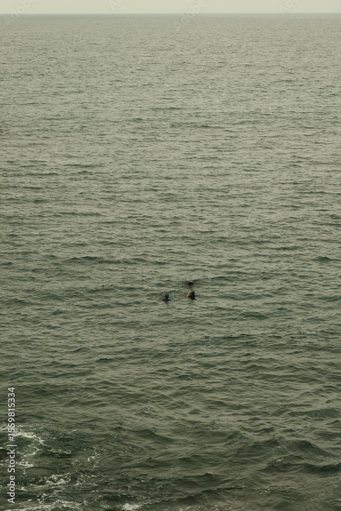 Fototapeta premium black and white