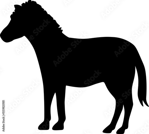 Zebra Silhouette

