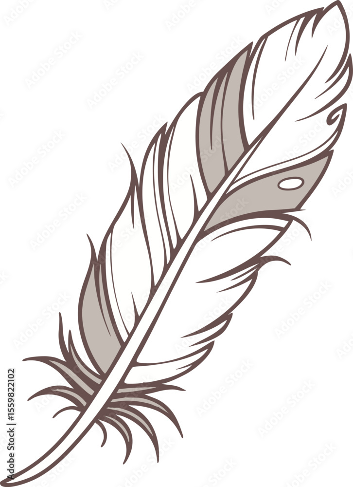Obraz premium feather on white background