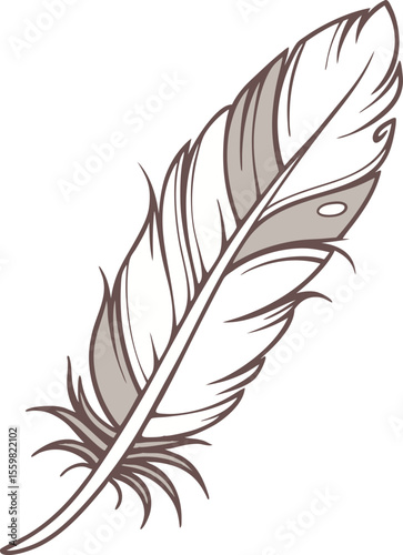 feather on white background