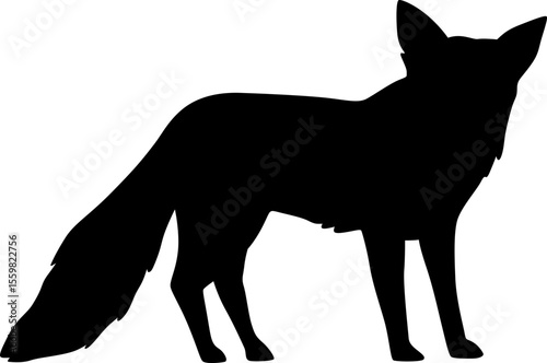 Fox Silhouette

