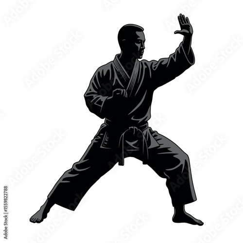 vector silhouette martial arts fighter
