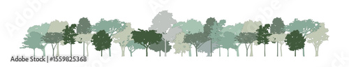 tree section for decorate boarder or architectural drawing