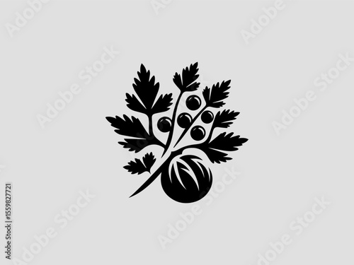 Vintage engraved coriander sprig vector logo for farmers markets or artisanal food shops