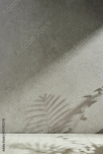 Wallpaper Mural Minimal Natural Light and Shadow Composition for Lifestyle and Background Use. Torontodigital.ca