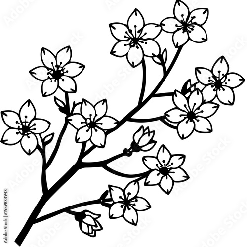 Flat Cherry Blossom Branch on White