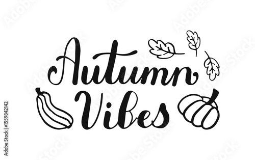 Autumn Vibes hand drawn phrase decorated with pumpkin and leaves. Vector Handwritten words with Fall decoration in black color isolated on white background.