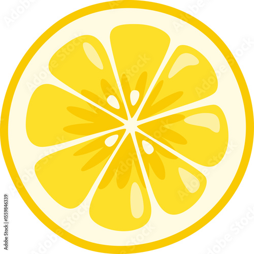 Lemon Cross Section

