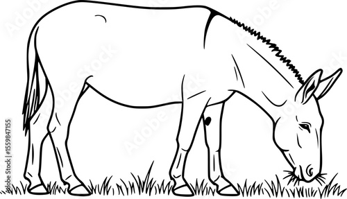 mule eat grass line art silhouette vector illustration
