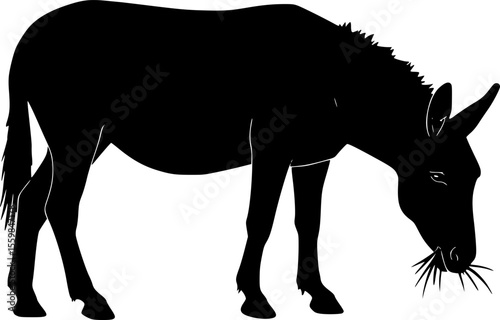 mule eat grass line art silhouette vector illustration
