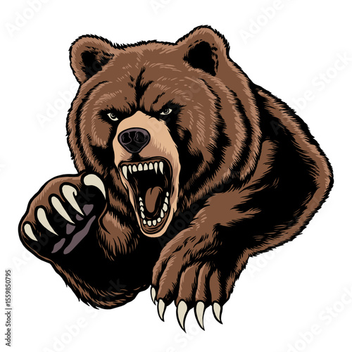 vector illustration of a bear
