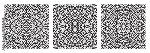 Set of abstract turing symmetric background. Abstract background with intricate and symmetrical maze-like lines. Vector illustration.
