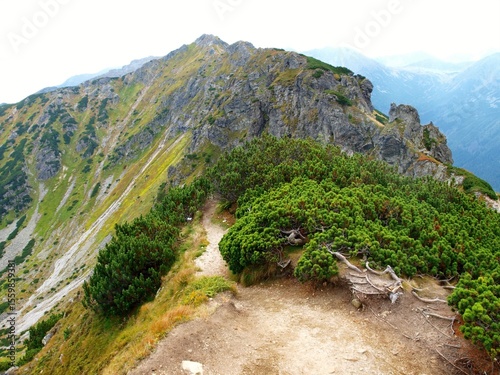 Obraz na płótnie Tatry mountains 