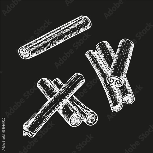 Cinnamon - engraved plant illustration set. Sketch drawings for use in wellness, natural cosmetics, culinary herbs, and garden decor. Hand drawn floral vector clipart