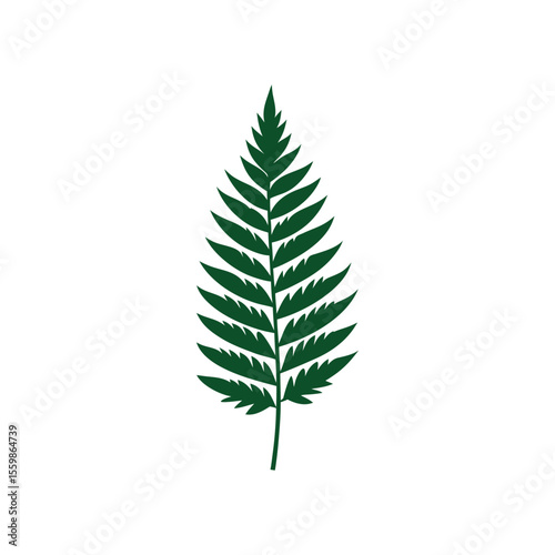 fern leaves vector