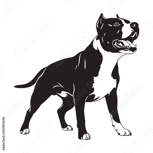 Showcasing a noble American Staffordshire Terrier digital black form, impactful for any design - American Staffordshire Terrier silhouette - Amstaff Vector - Silhouette of Amstaff - dog silhouette

