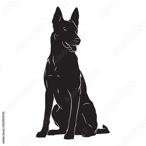 Featuring an authentic Belgian Malinois canine digital black visual, representing breed - Belgian Malinois silhouette - Belgian Malinois Vector - Silhouette of Belgian Malinois - dog vector

