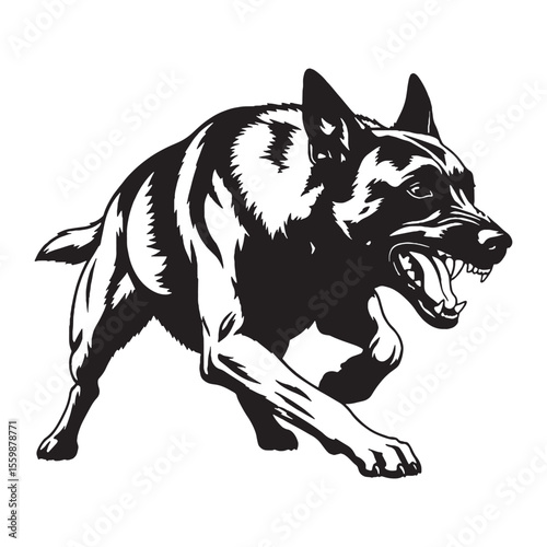 A proud Belgian Malinois digital black image, elegant graphic for your projects - Belgian Malinois silhouette - Belgian Malinois Vector - Silhouette of Belgian Malinois - dog silhouette

