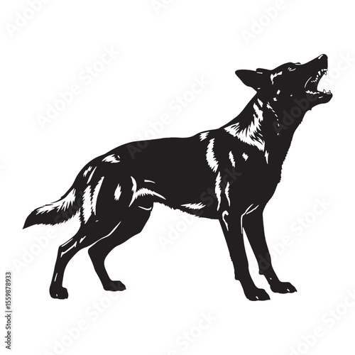 Displaying a recognizable Belgian Malinois digital black vector, iconic posture - Belgian Malinois silhouette - Belgian Malinois Vector - Silhouette of Belgian Malinois - dog vector

