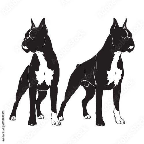 A loyal Boxer black vector artwork, showing the breed's strong presence - Boxer silhouette - Boxer Vector - Silhouette of Boxer - dog silhouette

