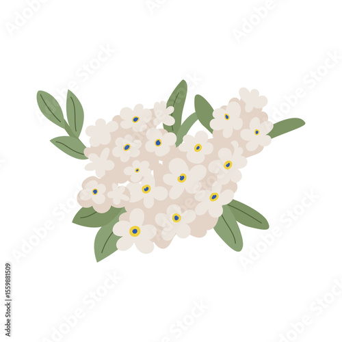 White forget-me-not flower branch with leaves. Vector flat botanical illustration. Blooming wedding elegant bouquet of white lilac plant