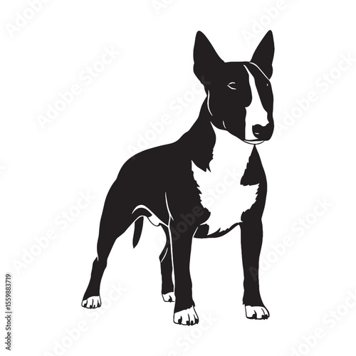 Presenting a defined Bull Terrier digital black image, with sharp, recognizable lines - Bull Terrier silhouette - Bull Terrier Vector - Silhouette of Bull Terrier - dog vector


