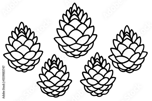 Rustic Pine Cone Outline Collection Nature Line Vector Pack